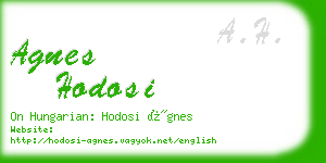 agnes hodosi business card
